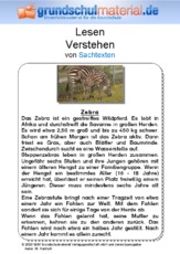 Zebra - Sachtext.pdf